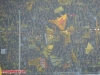 bvb_fc007